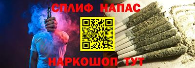 гидра Краснознаменск