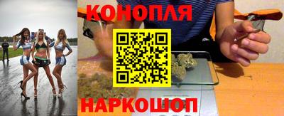 гидра Краснознаменск