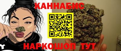гидра Краснознаменск
