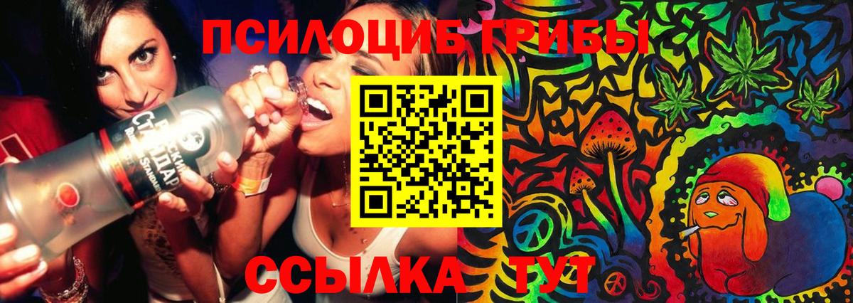 Псилоцибиновые грибы мухоморы Каменск-Уральский